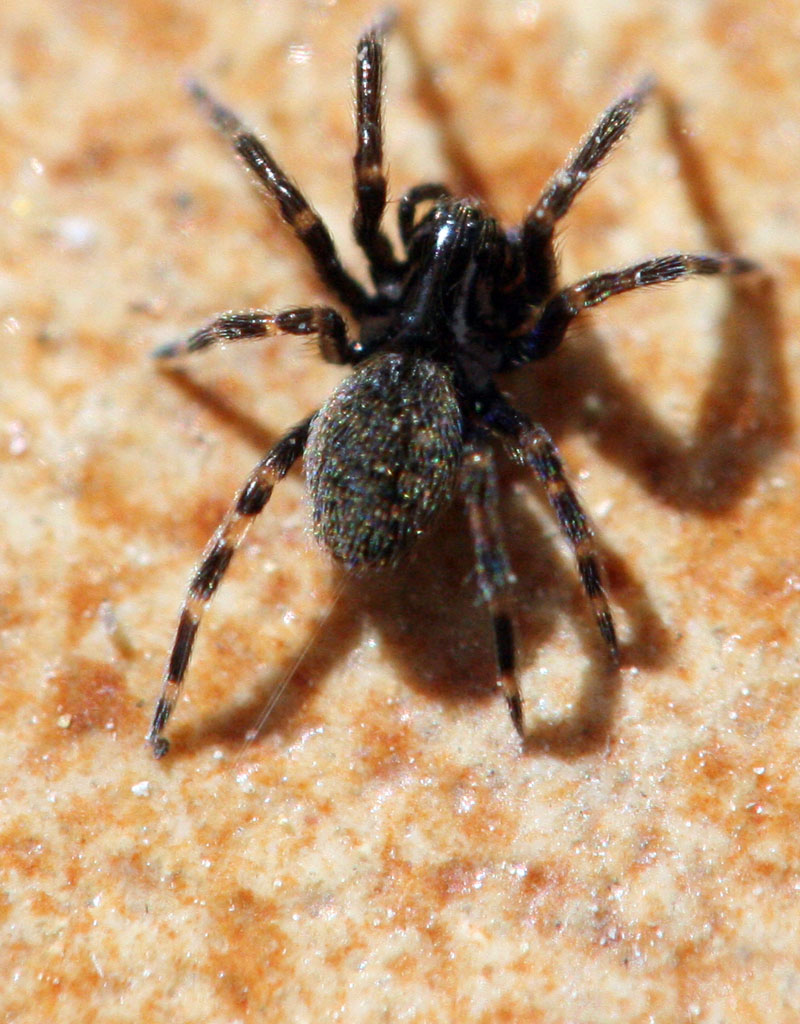 lasciami stare sto filando