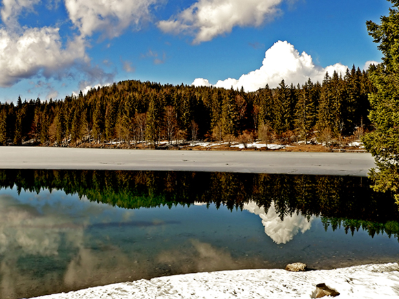 Laghi di fusine