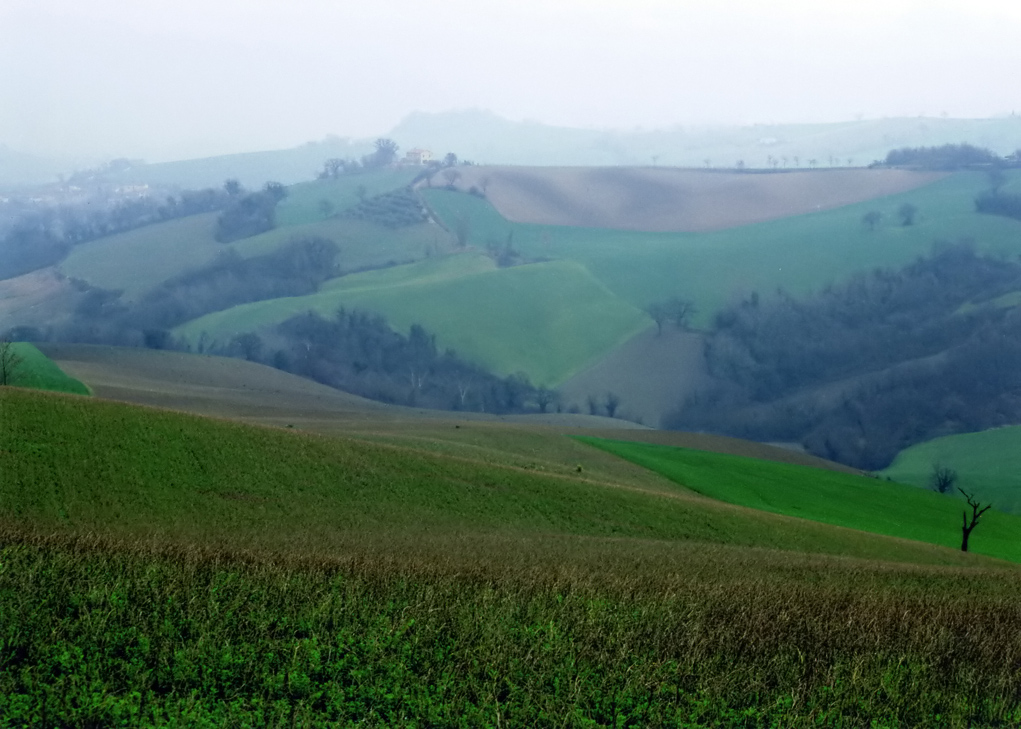 COLLINE PESARESI