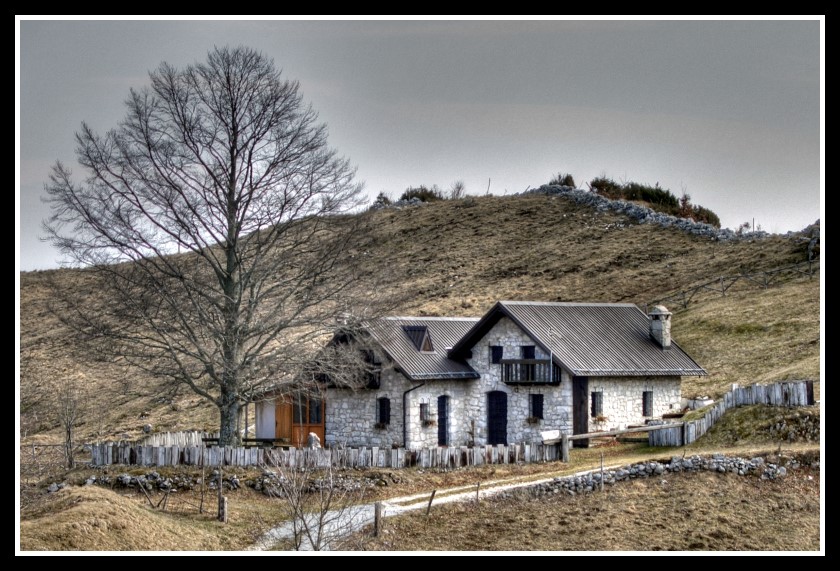 .:Foresta del Cansiglio #2:.