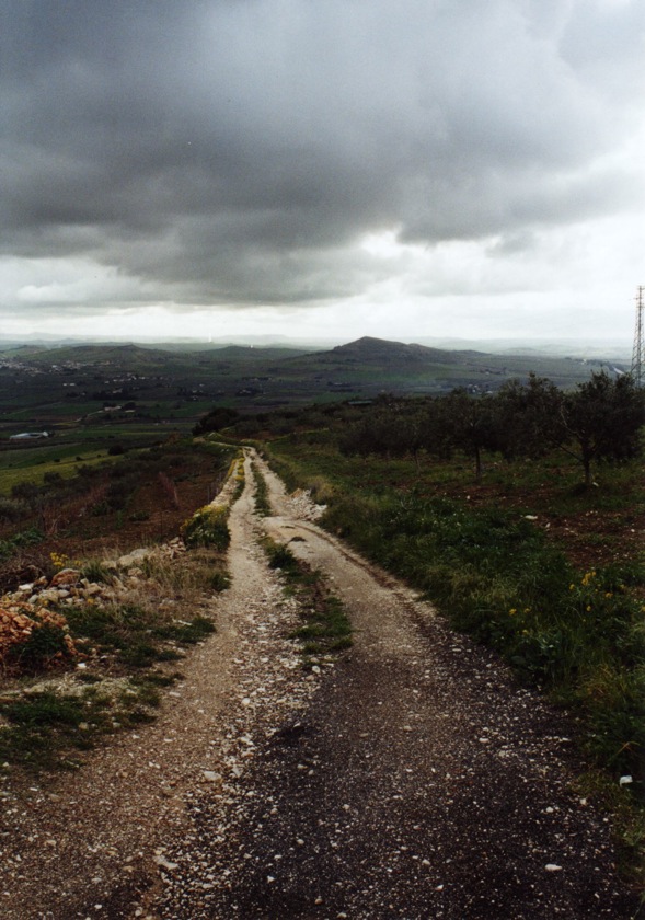 Esperimenti Reflex #2