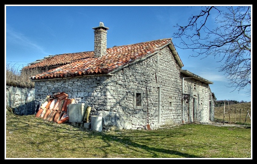 .:Foresta del Cansiglio #3:.