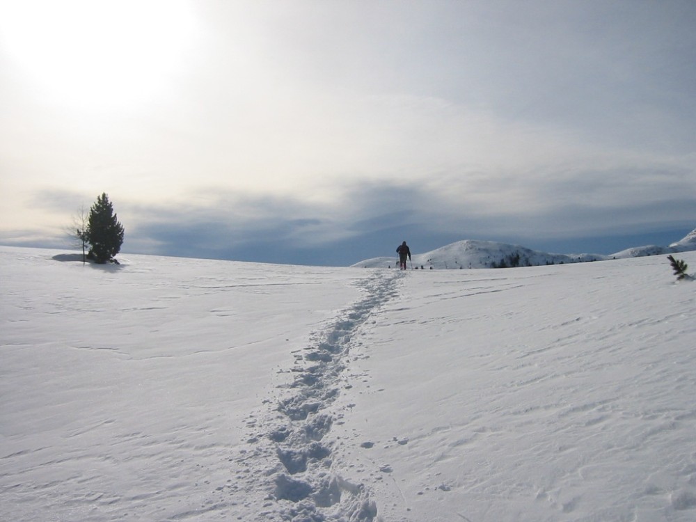Fuori dai soliti sentieri