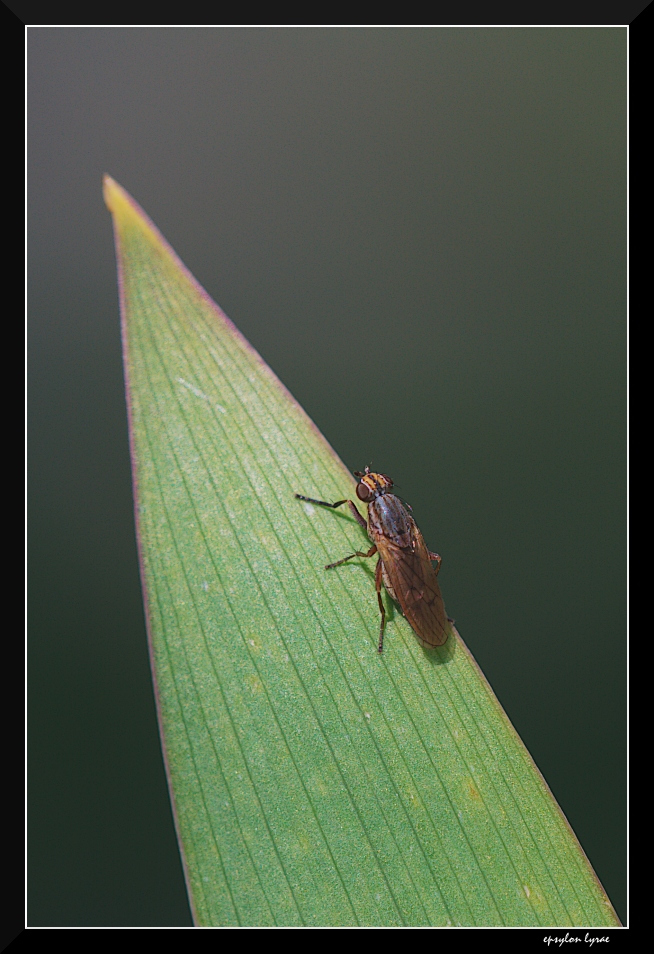Rampa di lancio (x Squarta)