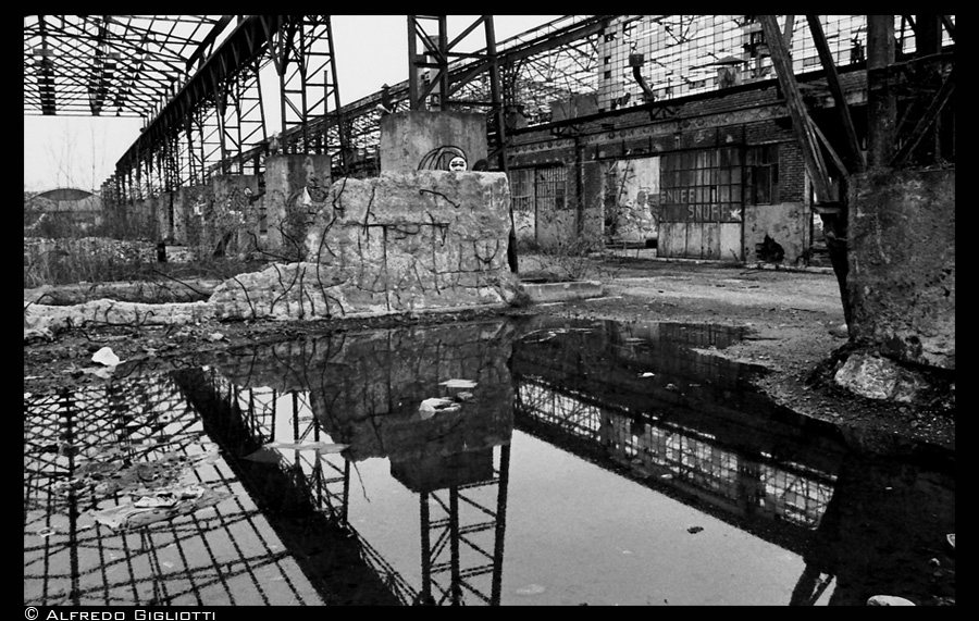 Riflessi  del tempo...