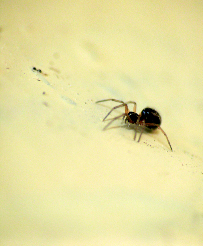 che fatica salire....