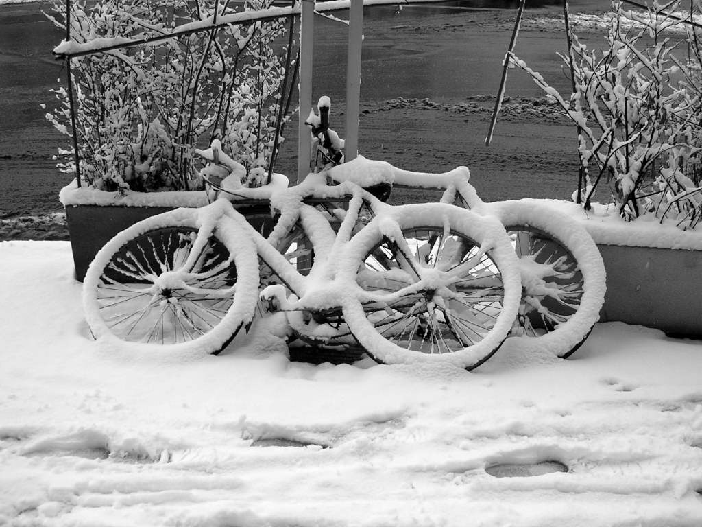 BICI NELLA NEVE
