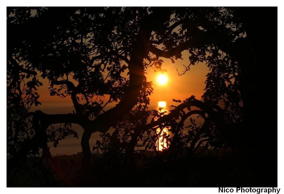 paradiso al tramonto