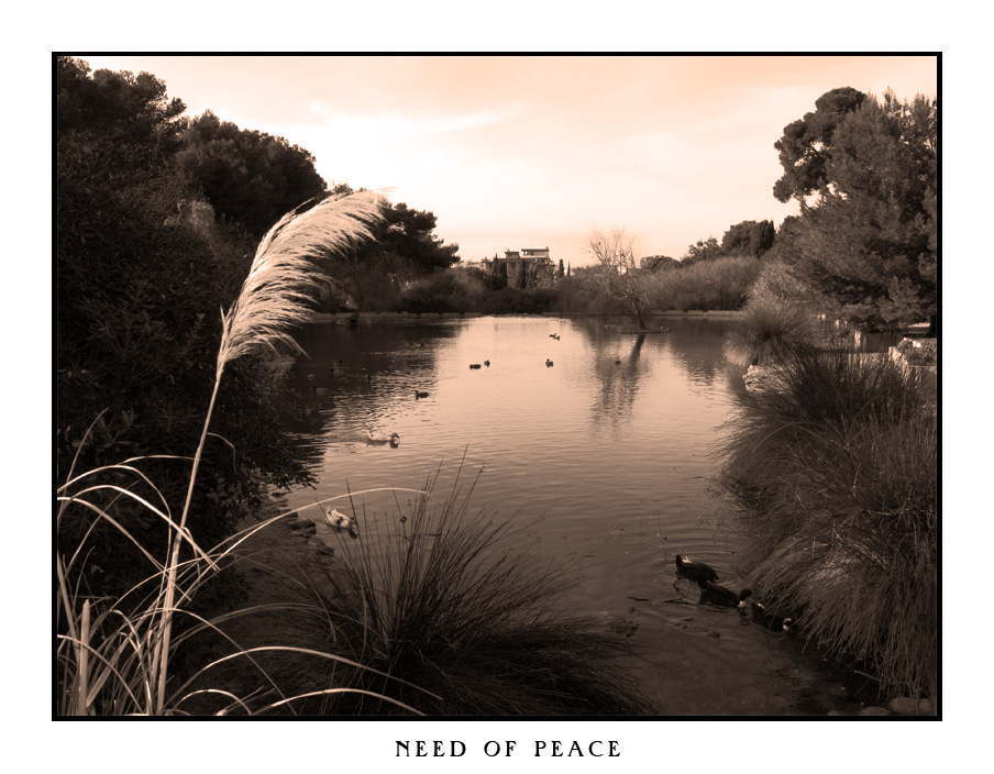Bisogno di pace