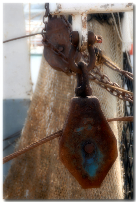 Termoli - un duro lavoro ... prima di stendere le reti