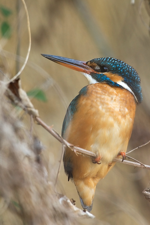 And Martina, of course...