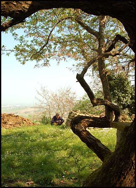 nonnis macrobundis in fabula