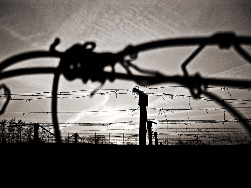 Natura morta...e in gabbia