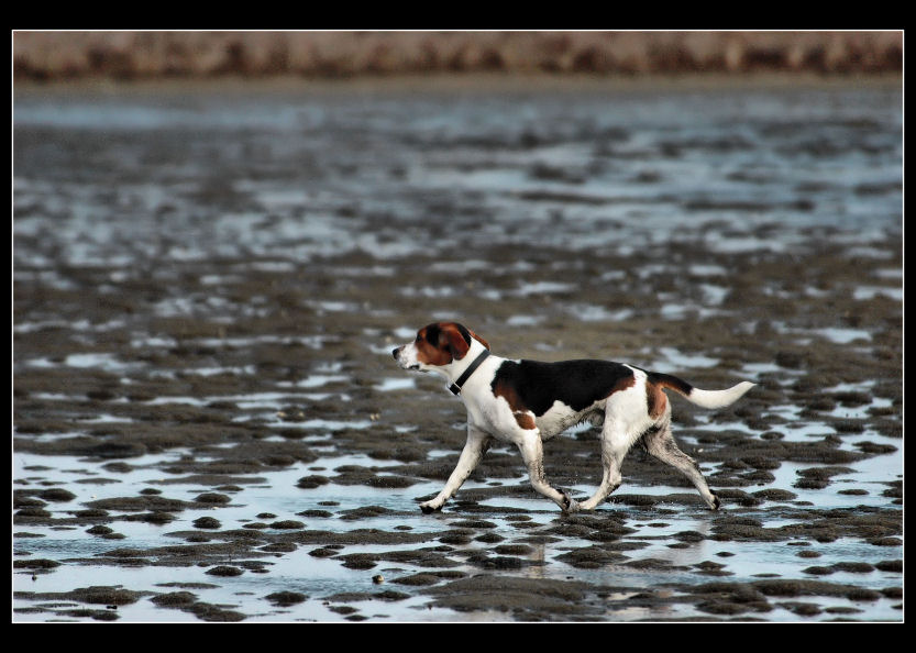 Trotterellando nel fango