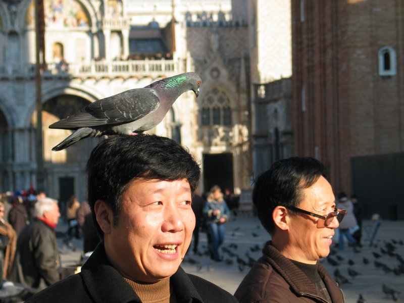 Sull'altro capo del mondo