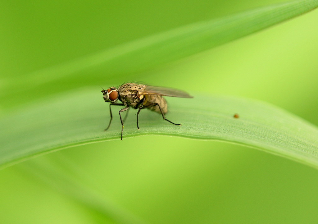 L'ho fatta e me ne vado!!