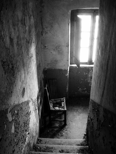 ..assenze presenti....