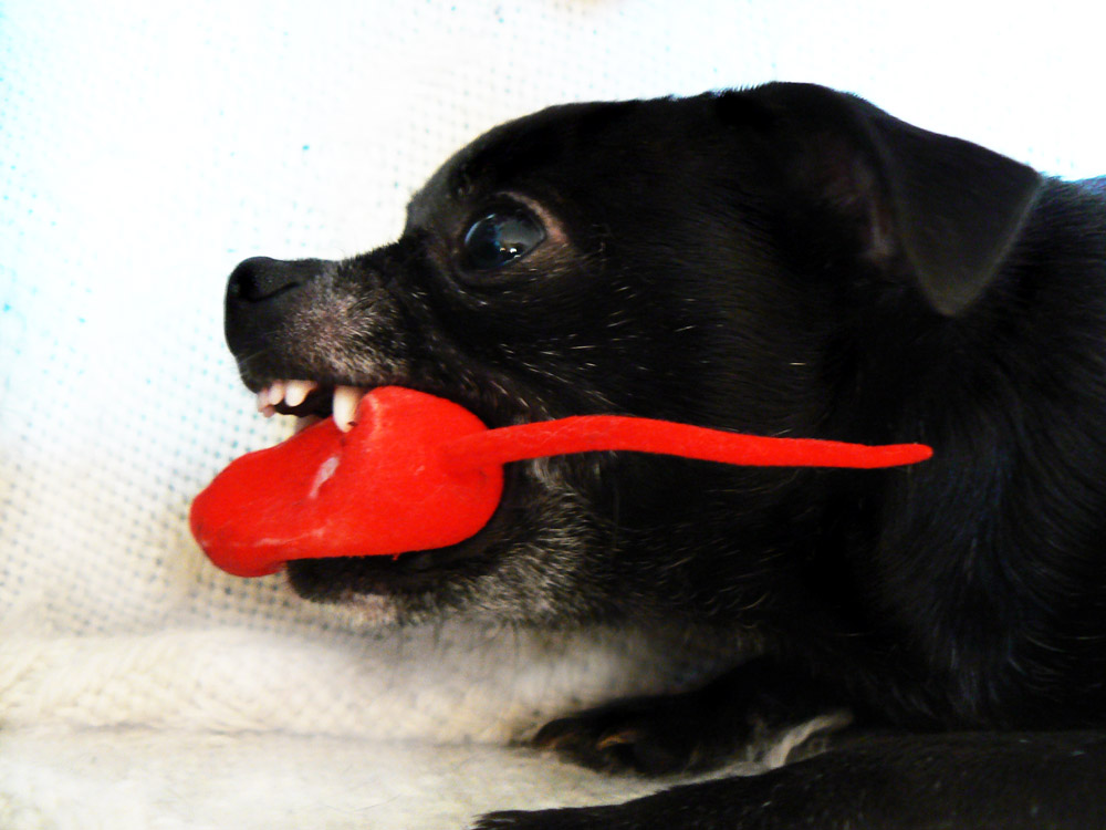 non toccate il mio giochino