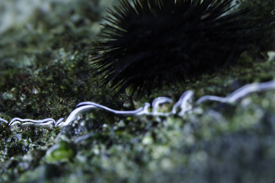 mi hanno detto di stare attenta