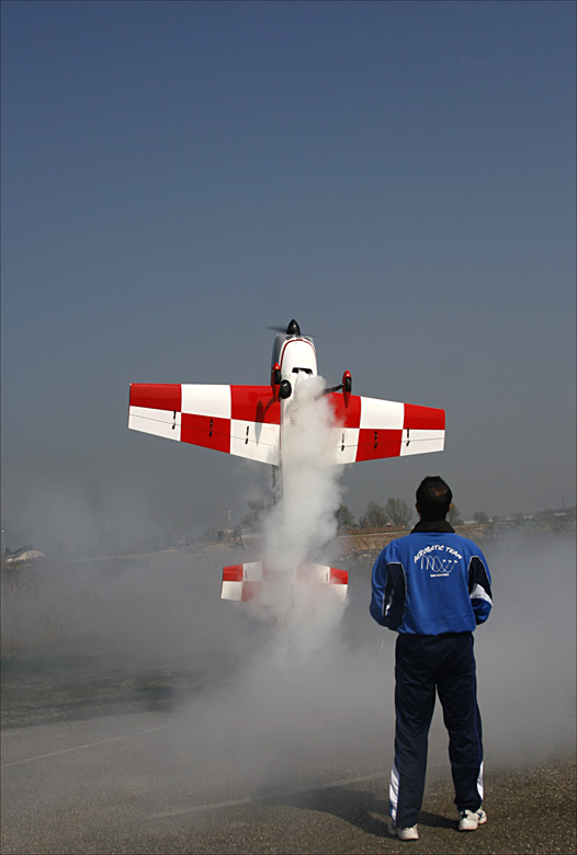 libellula 3 metri di ali..