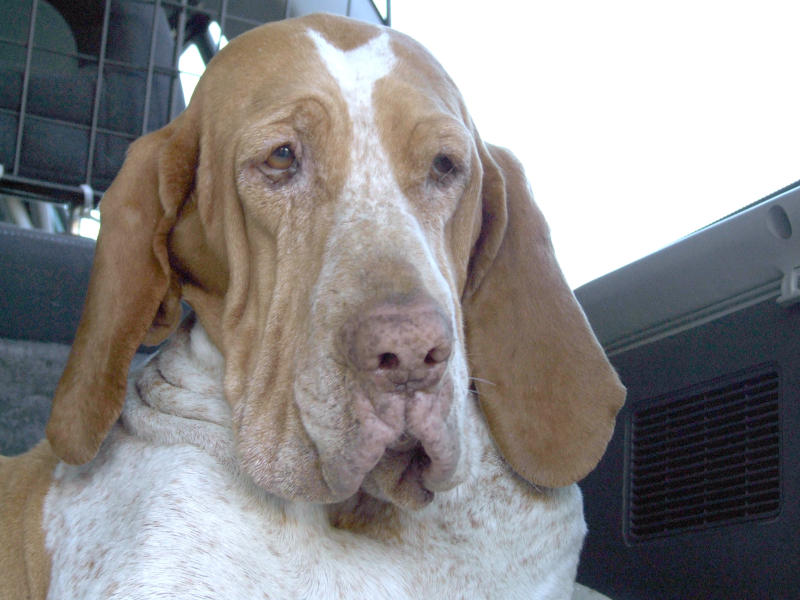 uffa....con queste foto!