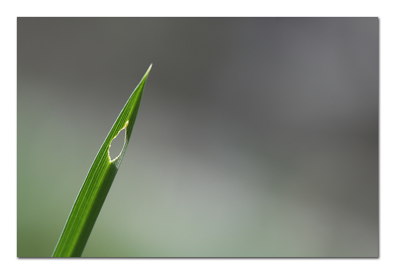 Il buco con la foto attorno