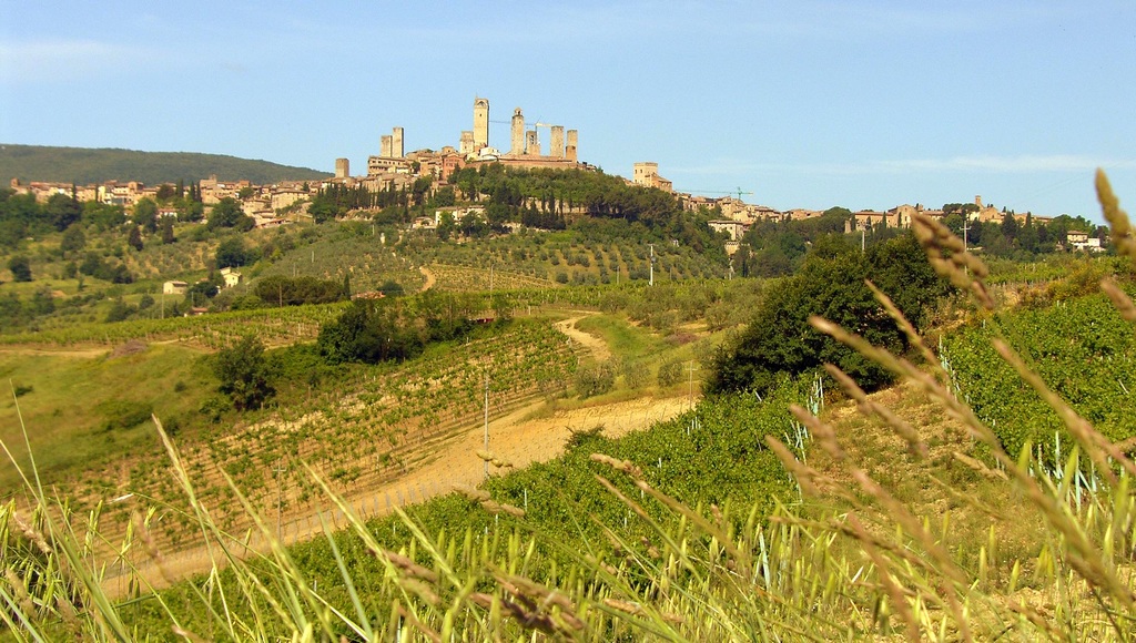 San Gimignano Landscape