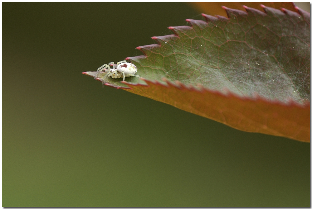 Altra angolatura.....