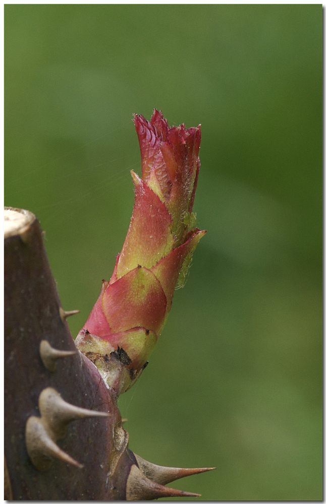 Il giovane ed il vecchio.