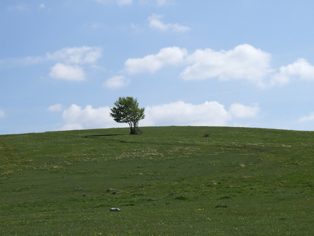 Piana di Castelluccio