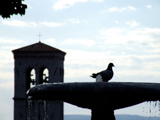 Assisi