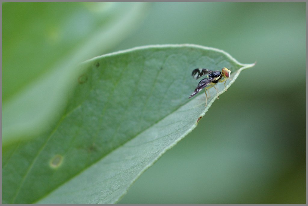 Siiiiiiii....parte!!!!!!!!!!