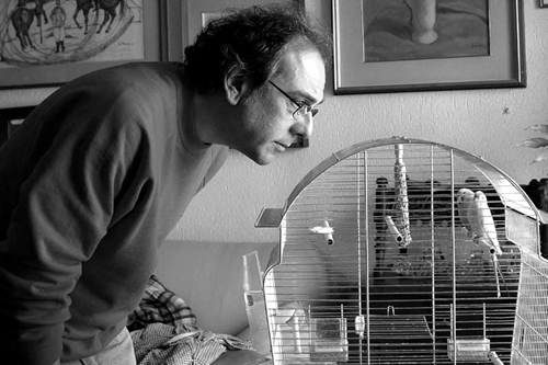 Mauro Corazza - Fotografo