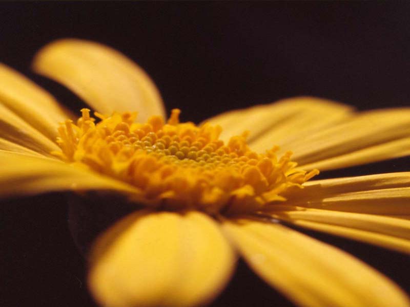 piattaforma d'atterraggio...