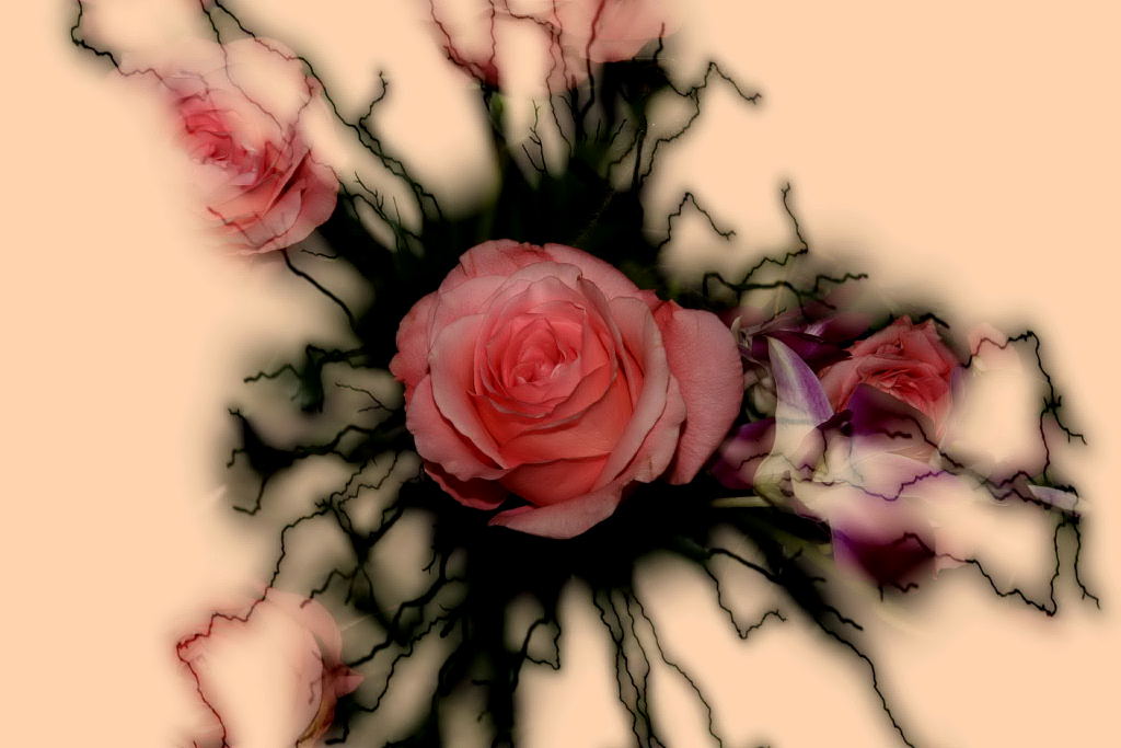 composizione diversa