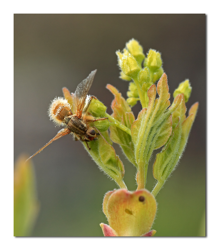 aggrappata fino alla fine