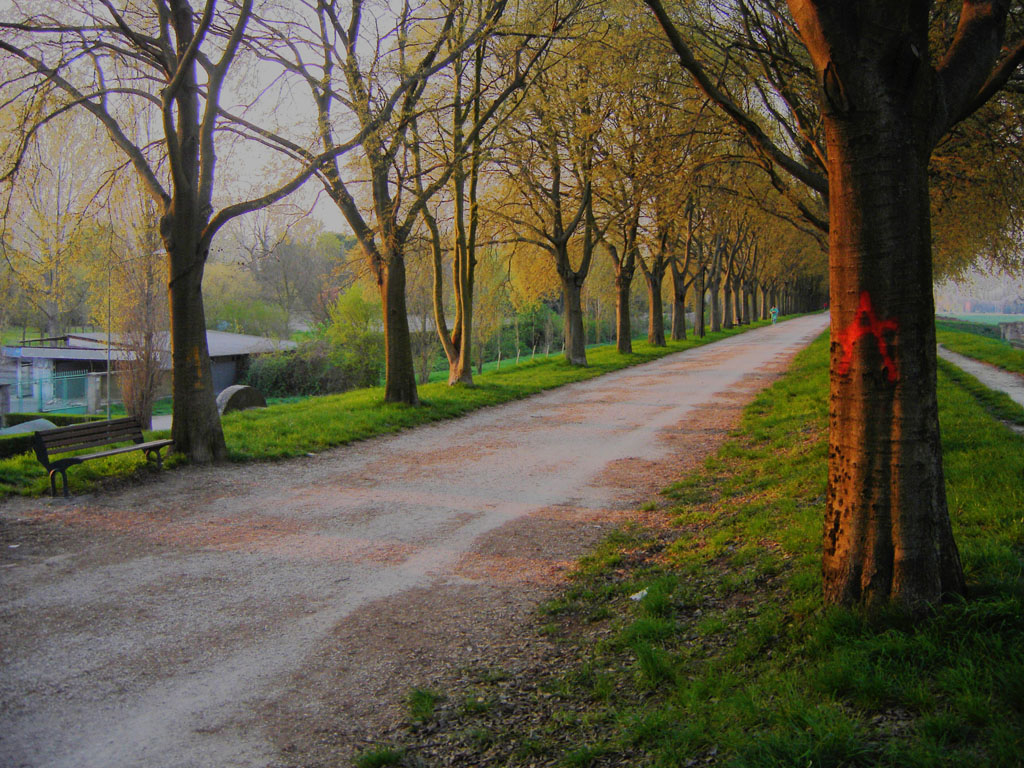 Alberi- Prove in HDR