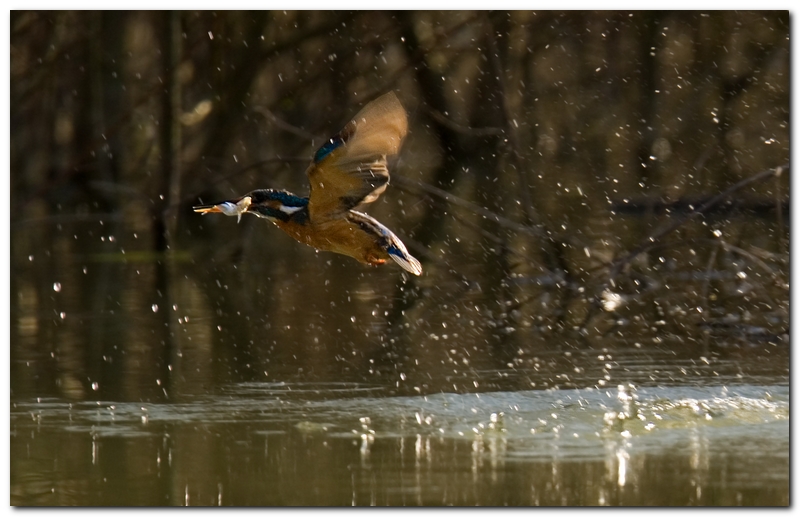 Tanto per non perdere il vizio