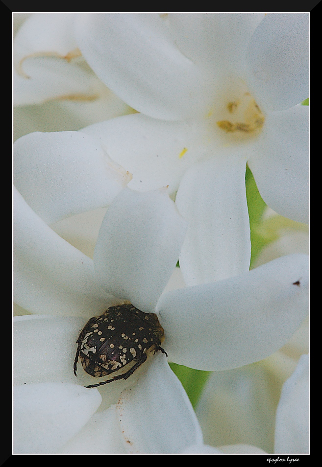 Sapzioooo (x Cloris)