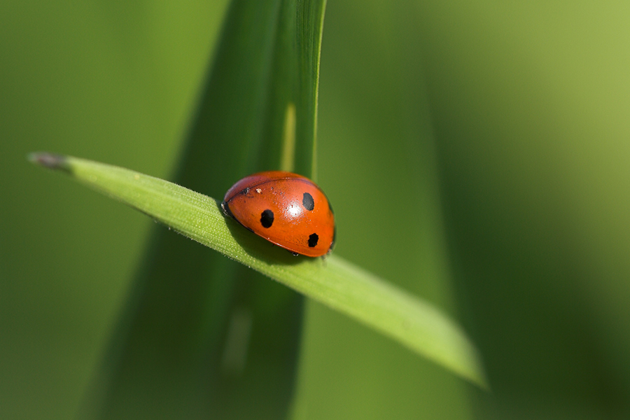 Once upon a time....