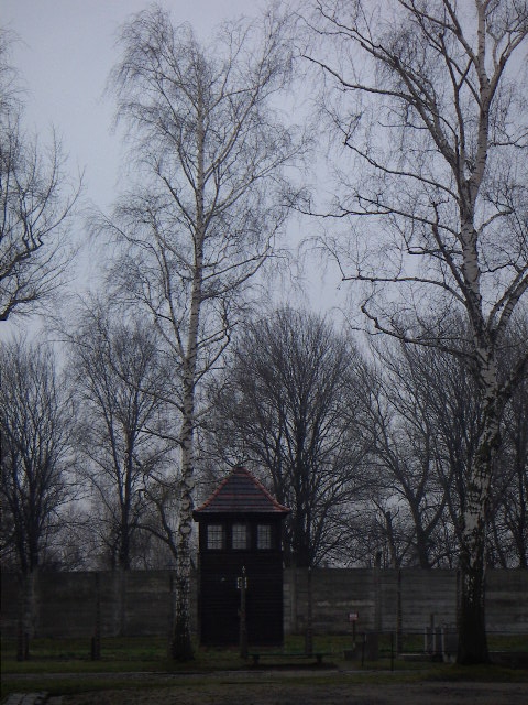 auschwitz 3