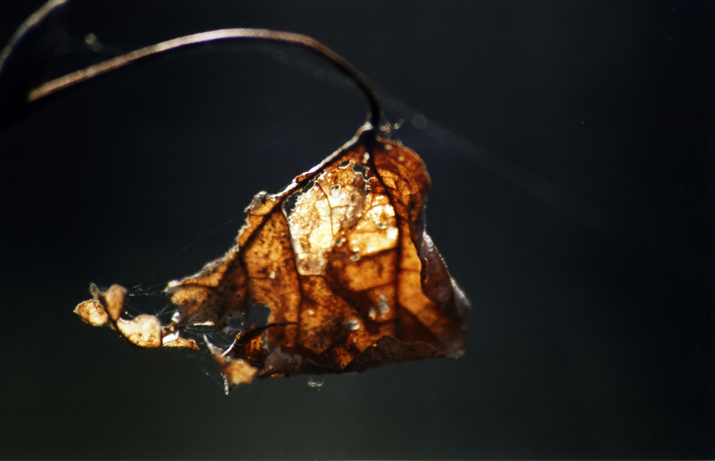 SALUTIAMO L'INVERNO....