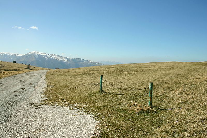 Quanti siete? Cosa portate?........... 1 Fiorino...