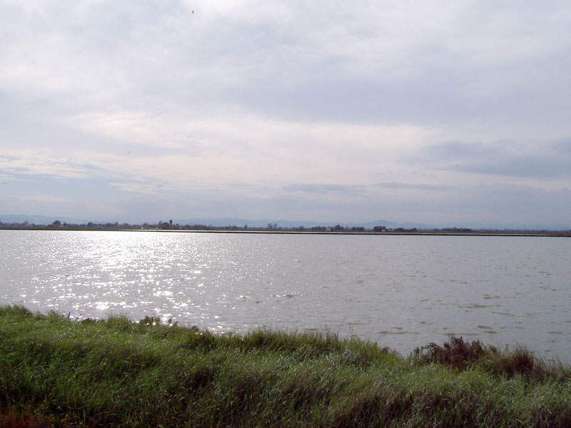 Saline di Cervia
