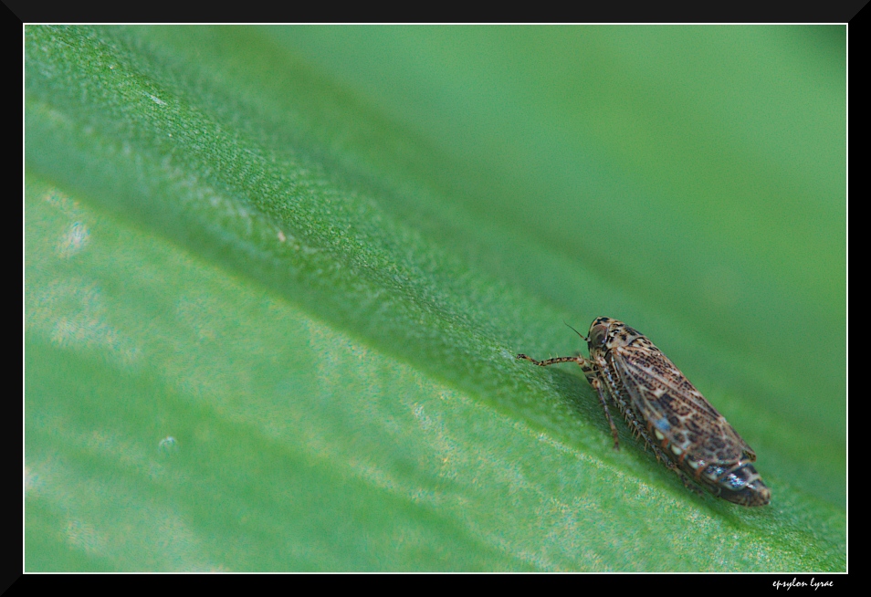 Ho paura...mi giro (x alex.alo)