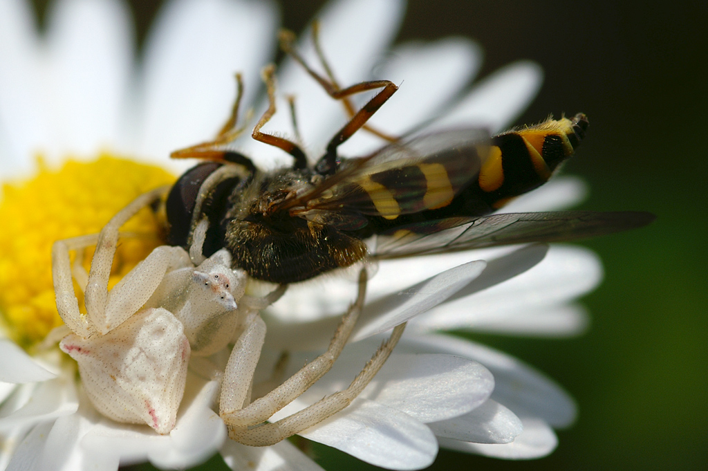 La legge della natura
