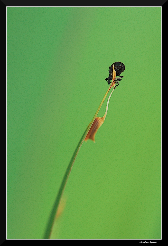 Scendo da qui v�...