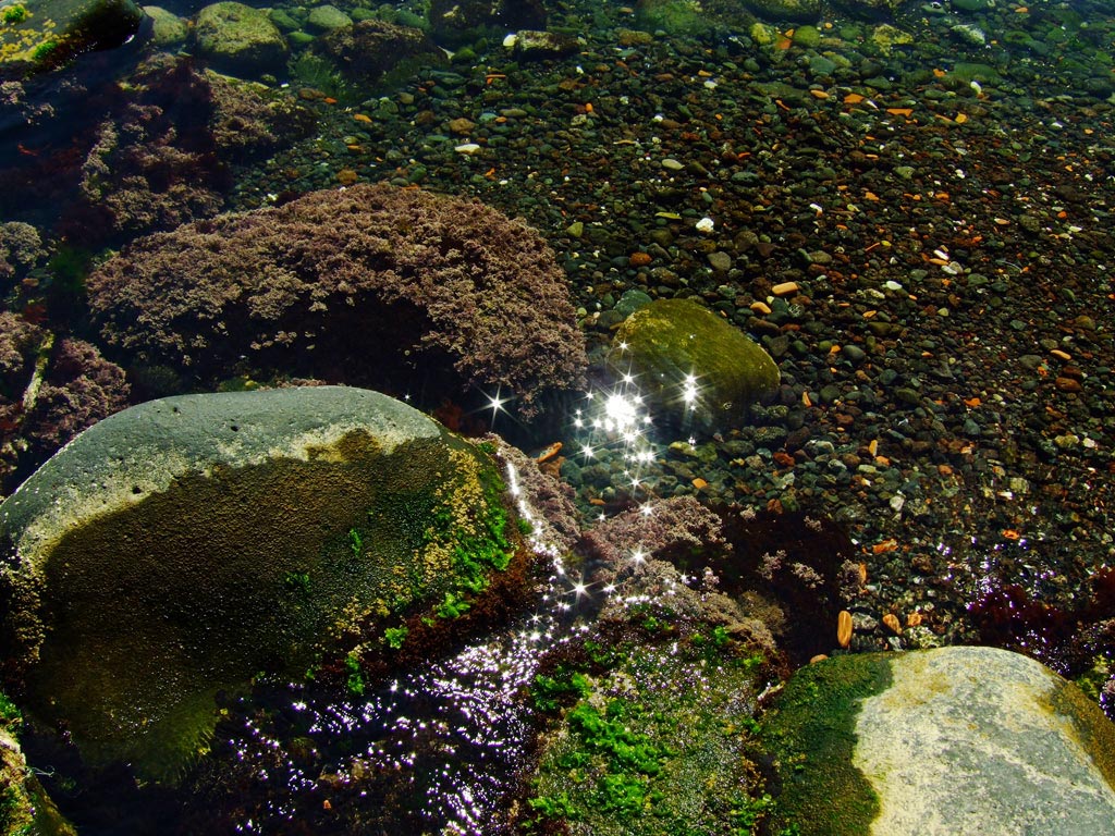 Luccichii.... sulle rive del mare.