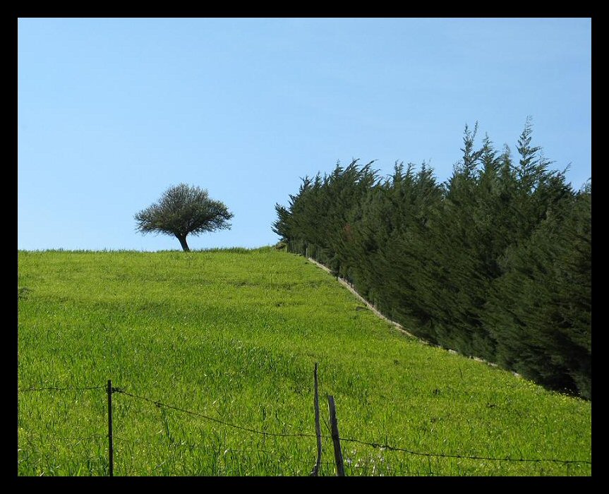 passeggiando tra le Madonie
