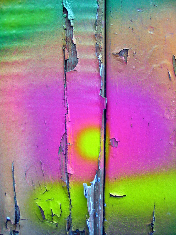 portone scortecciato